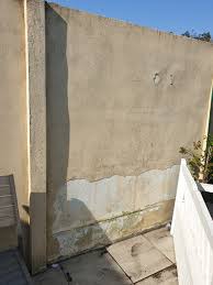 renovation mur exterieur