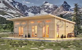 cabane bois habitable