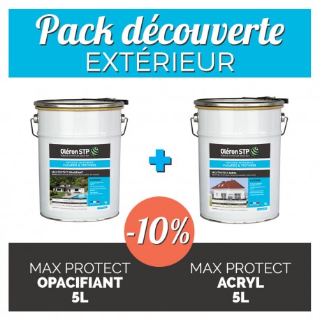 peinture acrylique pour exterieur